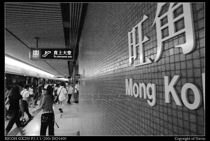 [R0016091 (Medium)[2].jpg]